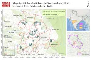 Distribution of Jackfruit trees in Sangameshwar