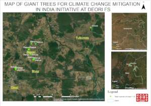 Locations of saved Giant trees in Vidarbha
