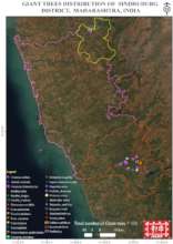 Map of locations surveyed for Giant trees