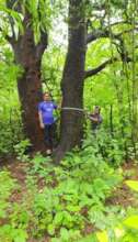 New custodians of Giant trees in Western Ghats 4