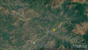Location map of giant trees surveyed till now