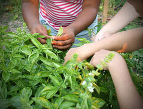 Adding Fresh Produce to the Mix!