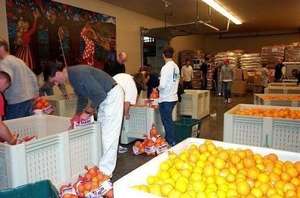 Volunteers in Action