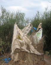 Latrine