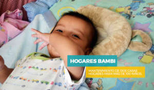 Hogares Bambi