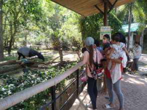 Zoo - find the animal