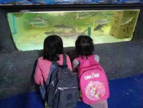 Fishes are very interesting