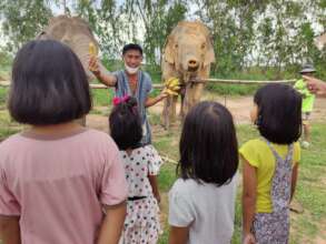 How is the first to feed?