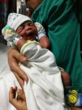 The new baby - so cute!