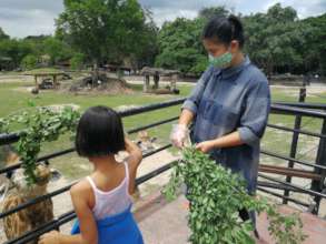 Feeding Giraffes during Zoo Outing October