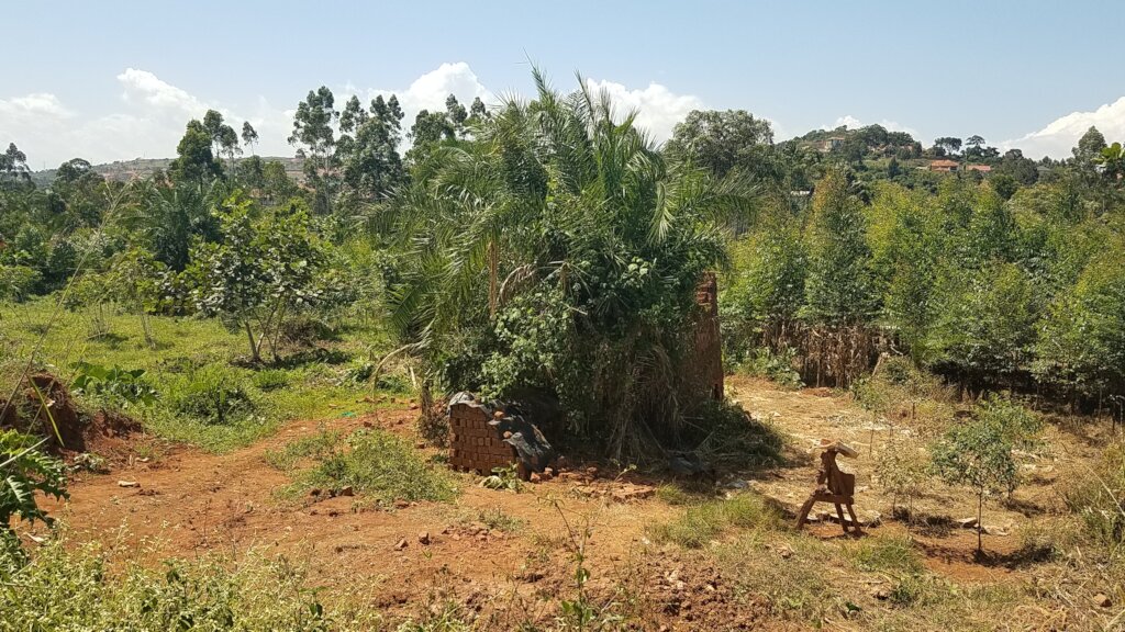 The site has lots of great dog walking areas