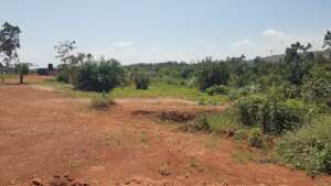 Wetland area on the right in the photo