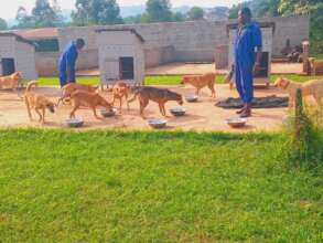 Meal time at the new shelter