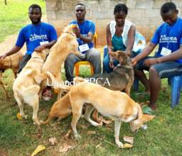 Some of the USPCA staff-happy about their raise