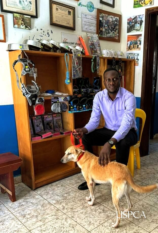 Lucky dog, adopted from the USPCA in November