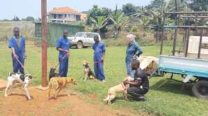 Dogs are transferred from the old to the new