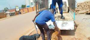 Loading up for travel