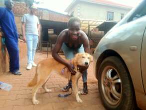 Adopted! Lucky dog and lucky new "mom"