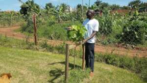 Alex with his tree at the new shelter