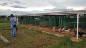 Dennis & Tony discuss USPCA construction plans