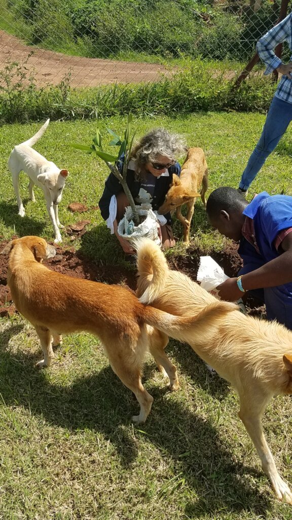 Planting my tree-with help from the USPCA dogs