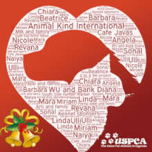 Happy Holidays from the USPCA to AKI donors!