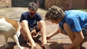 David later adopted the puppy