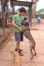 Diego on the road to recovery