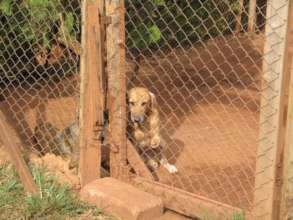 Hope and Nelson-2010