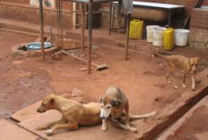 Hope and Nelson at The Haven-2016