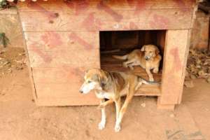 Hope & Nelson at The Haven-2012