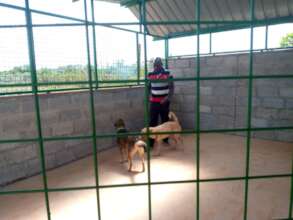 The new pens are spacious!