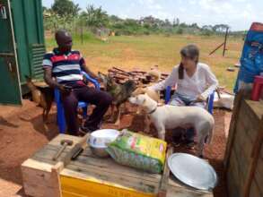 Relaxing at the new USPCA shelter