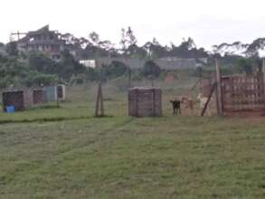 Enjoying their new home