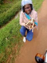 Jackie spots a stray puppy in danger & grabs her