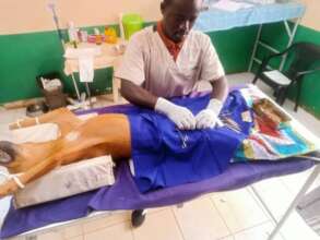 One of a few vets who volunteered for spay/neuter