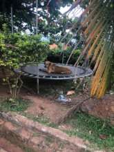 Post-adoption home visit-January