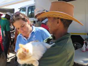 1 of the cats sterilized during the March2017 trip