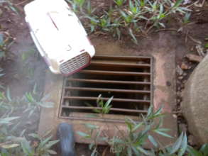The kitty was in this sewer at Acacia Mall!