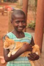 The 2nd kitten adopted by Hope for Orphans