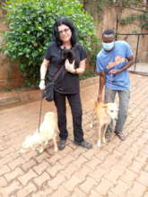3 dogs adopted to 1 home on Sept 12