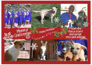 Happy Holidays from the USPCA & AKI