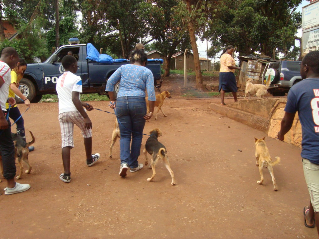Help Us Transform Uganda SPCA Haven Animal Shelter