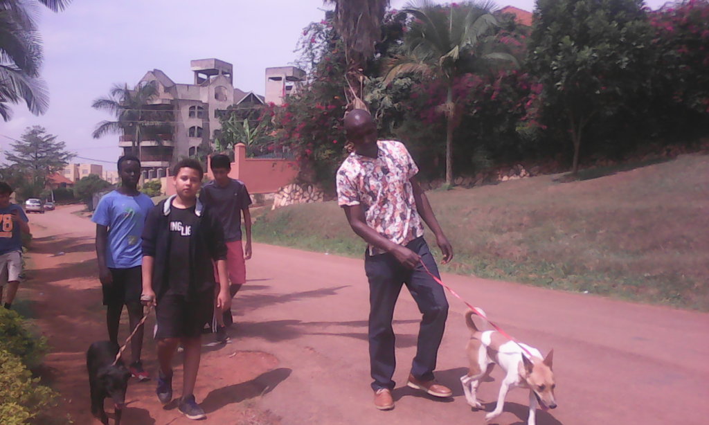 Help Us Transform Uganda SPCA Haven Animal Shelter