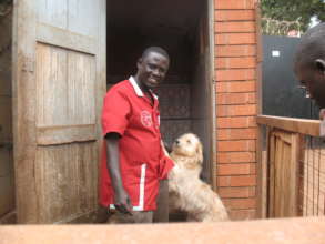 Morris, 1 of the newest Haven staff with a rescue