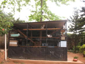 The new cattery at The Haven