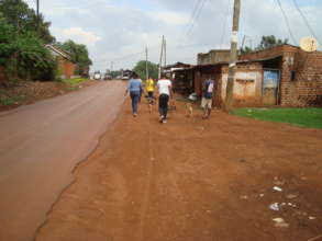 Volunteers love to walk Haven dogs
