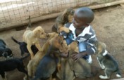 Help Us Transform Uganda SPCA Haven Animal Shelter