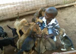 Help Us Transform Uganda SPCA Haven Animal Shelter