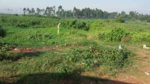 A few of the available plots of land